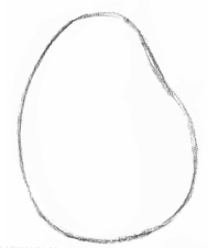 素描玫瑰花高级感的画法,素描玫瑰花画法步骤图