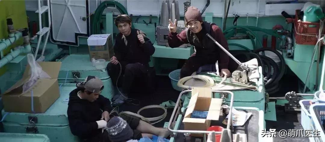 猫咪天天跑去喂鱼,猫咪不吃东西喝汤能喝饱吗