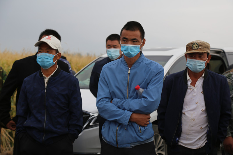 新疆兵团农七师128团,兵团第七师农业种植