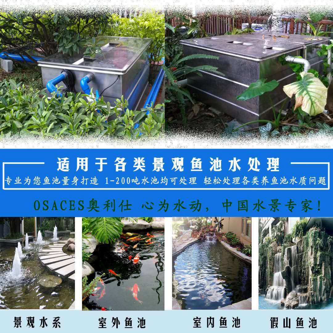 锦鲤排泄物怎么样算正常,锦鲤排泄物怎么处理最好