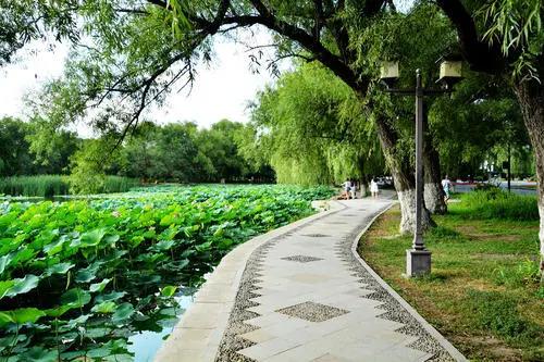 签约作者|水秀玲珑：北陵拾翠