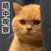 吴昕为什么突然时尚了,吴昕改变之路