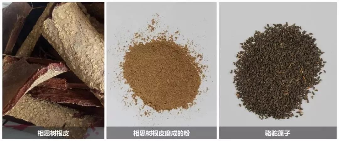 禁毒知识毒品的危害答案,禁毒科普要小心这些套路都有毒