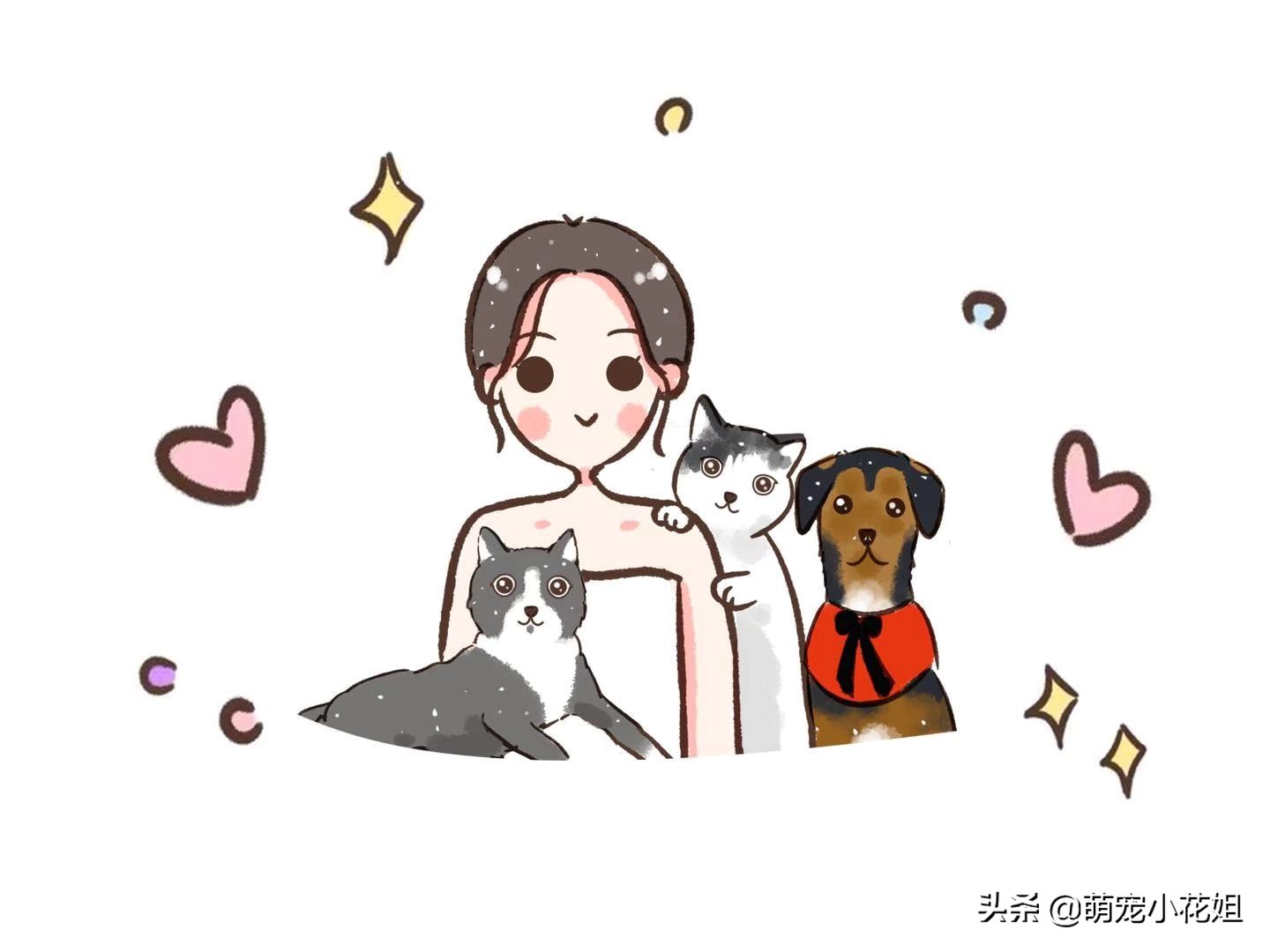 狗狗总是放屁而且很臭怎么回事,狗狗频繁呕吐放屁特别臭怎么解决