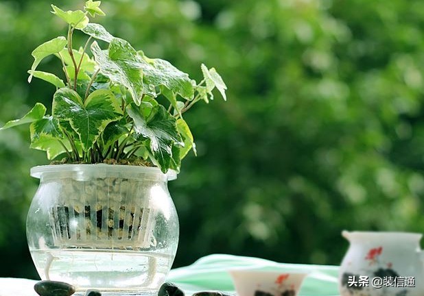 旧房入住前注意什么,新房入住注意事项大全视频