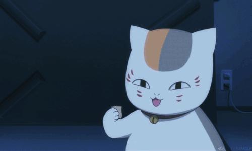 如何带小猫出国旅游,怎么带猫咪出国旅游最好