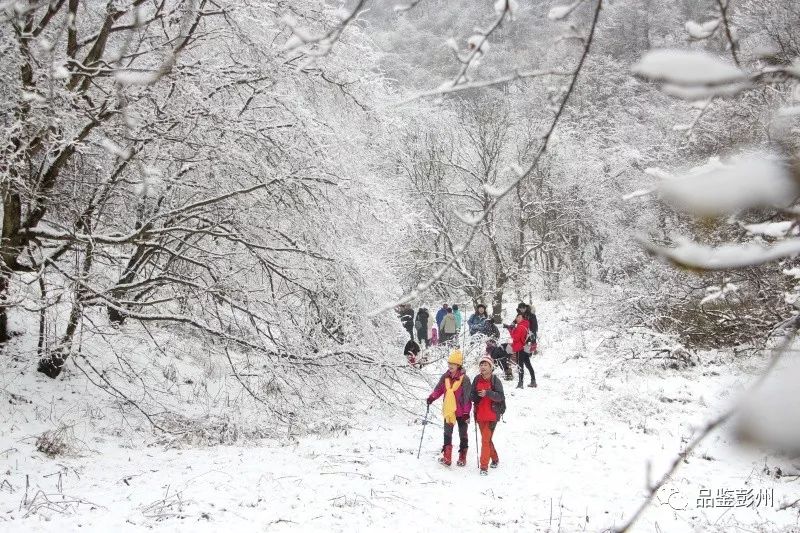 来彭州带你看海,冬天的彭州