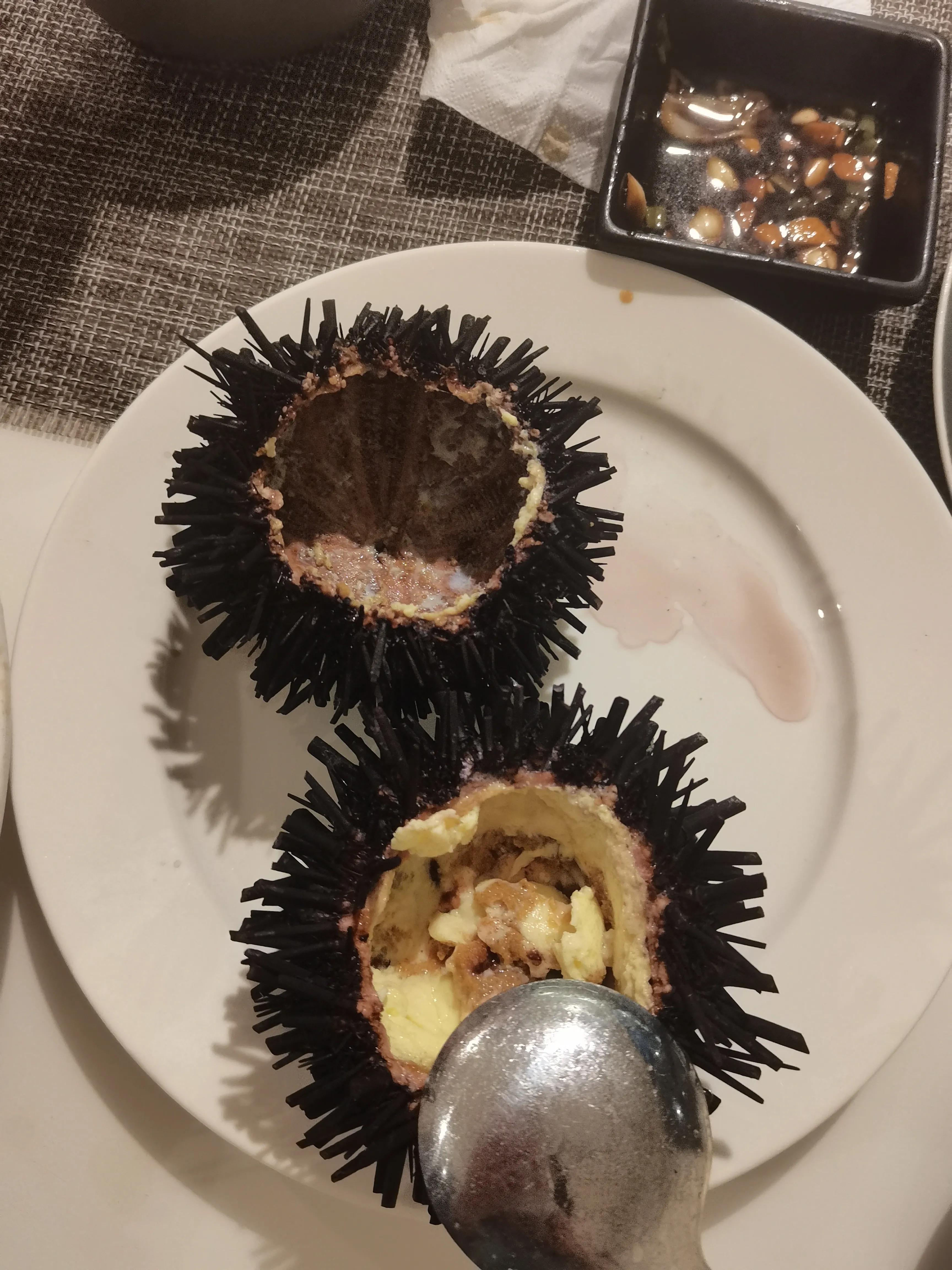 北海涠洲岛旅游景点,涠洲岛到北海要多久