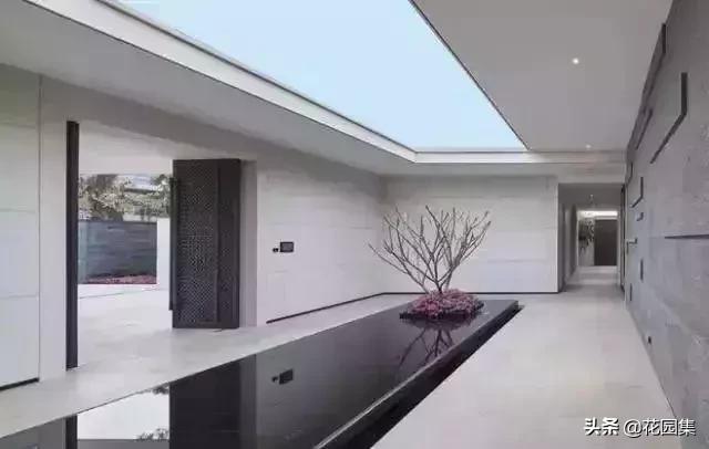 小小庭院,小小庭院满园春色