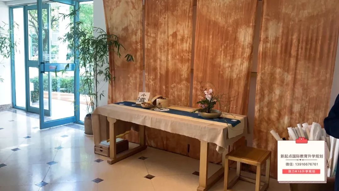 上海宋庆龄国际学校高中开设课程,国际教育探校