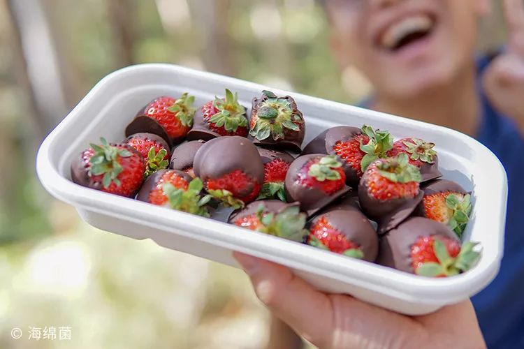 章子怡西澳,西澳大利亚十大挑战视频