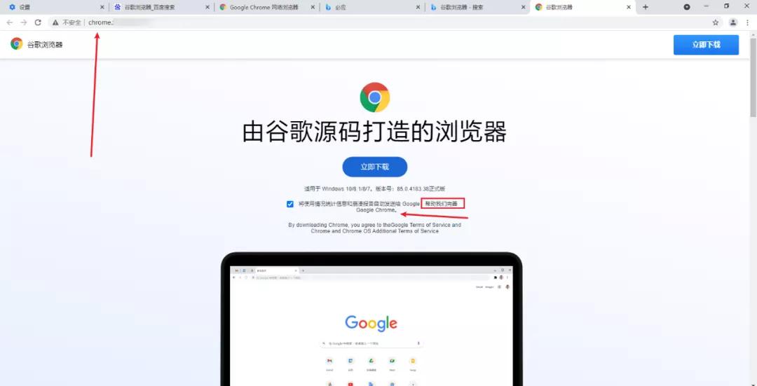 谷歌浏览器真假,为什么谷歌浏览器打不开