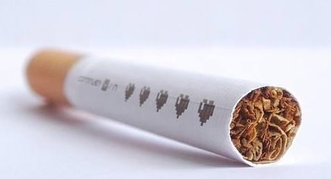 狗狗身上有跳蚤教你一招轻松去除,狗狗身上的跳蚤怎么治小妙招