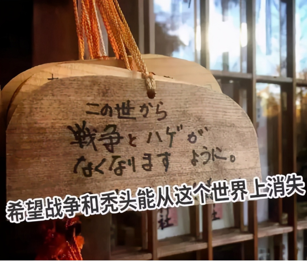 日本人秃头,日本秃头率亚洲第一