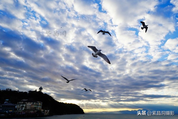 700年历史的日本小寺，为了看秋叶要买两次票，一次比一次贵