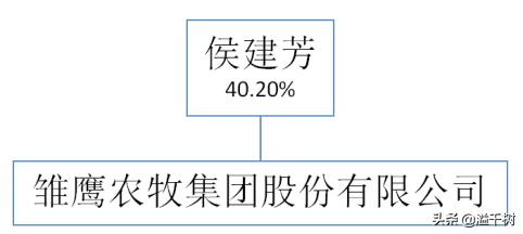 st雏鹰能不能不退市,st雏鹰最新消息