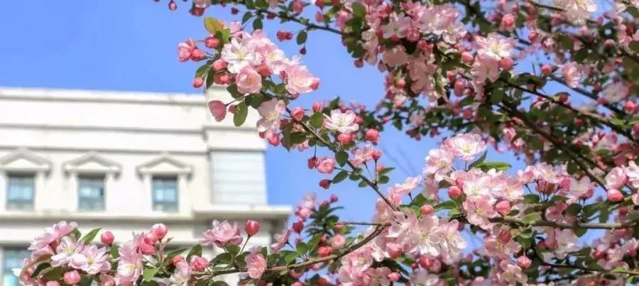 @港院人，有因必有果，敢不敢来挑战