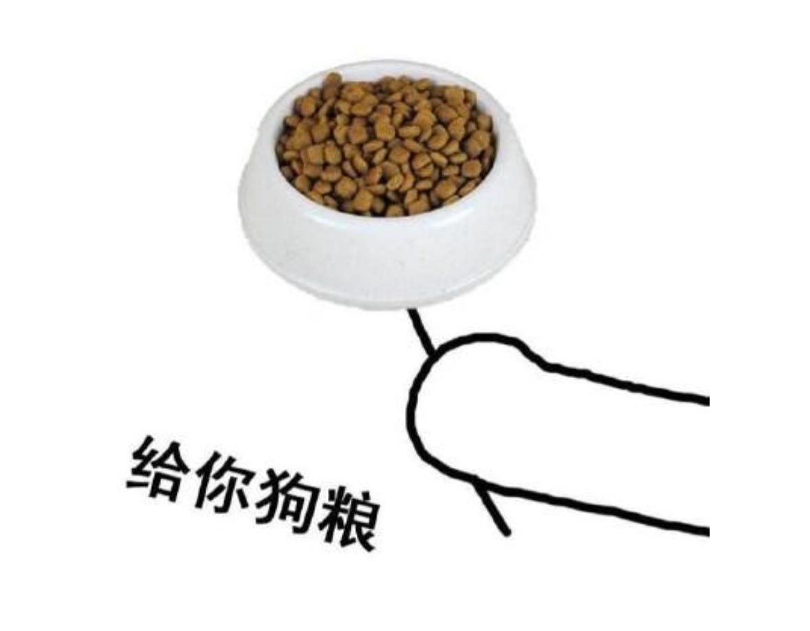 “民以食为天”，2021狗粮全攻略，人间有味是清欢