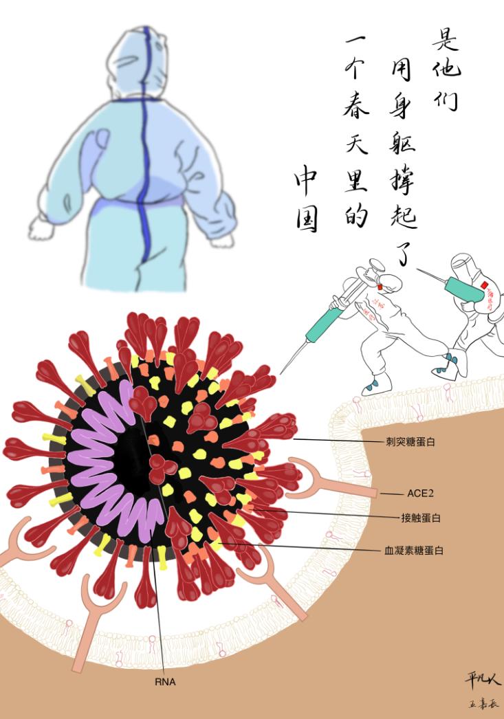 生命的故事绘本电子版,生命的故事图片
