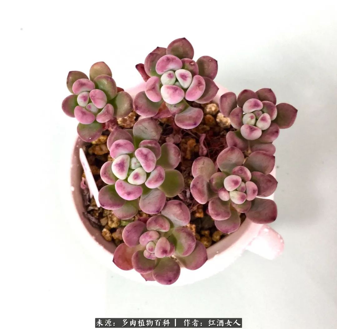 记录走过的美景留下美好的回忆,记录走过的每一段美好时光