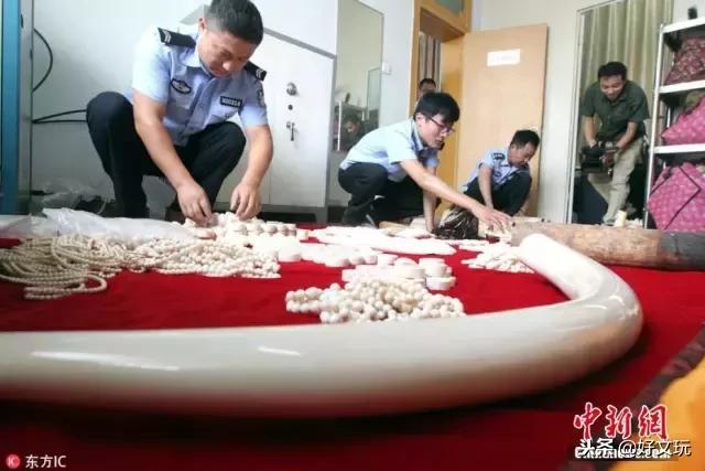 象牙暴利的特征有哪些呢,象牙工艺品骗局