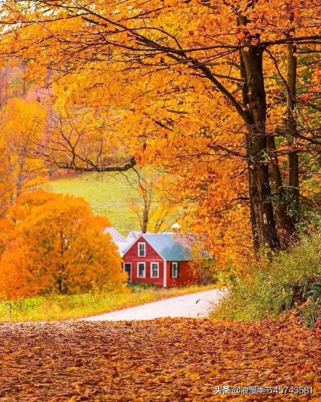 却道天凉好个秋散文800字,天凉好个秋散文500字