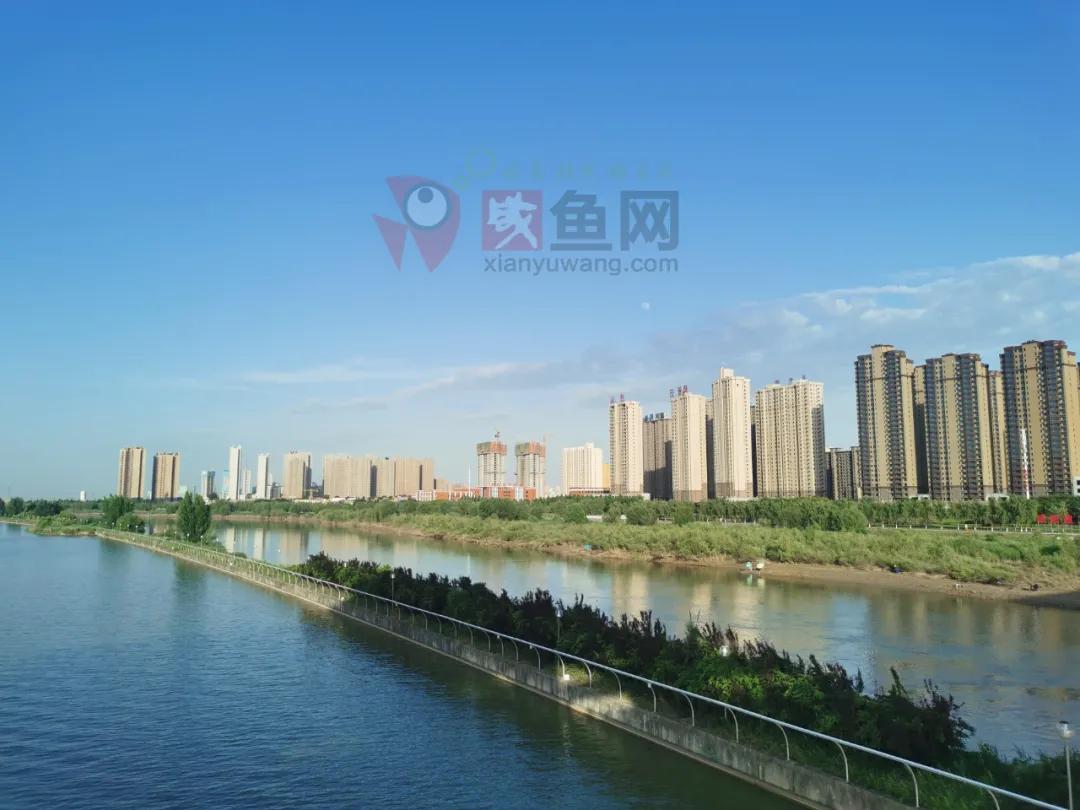 渭河南岸最新消息,渭河南岸沿线最新消息