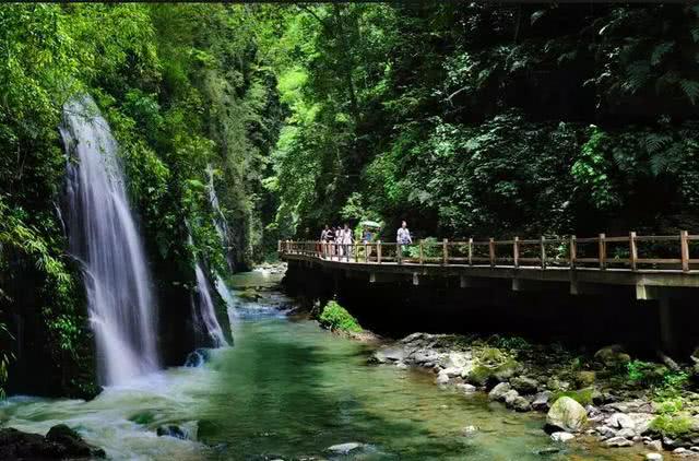 森林日重庆黑山谷,国际森林日自由森呼吸