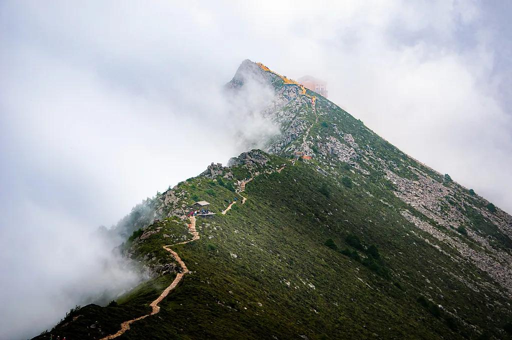让客来时，所见一山碧绿，万物竞发