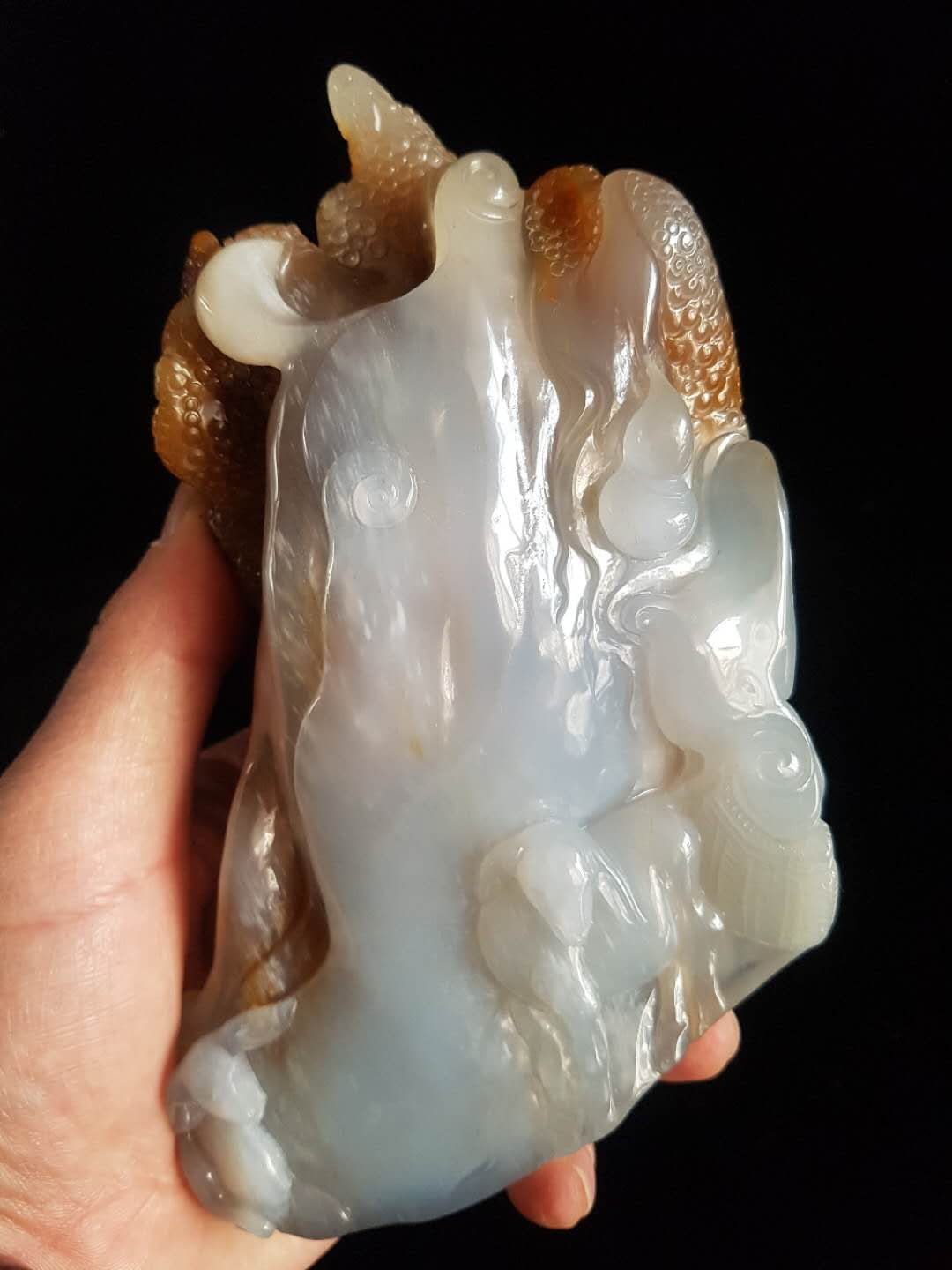 植物舍利盆景,植物舍利