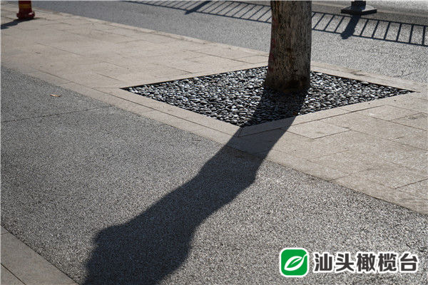 惠民福利棒棒哒！金砂东路（嵩山路—天山路）环境品质提升改造率先完成