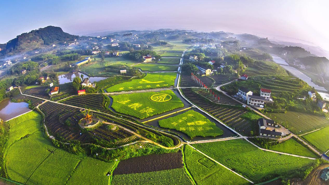 以春入酒五粮香醉千年