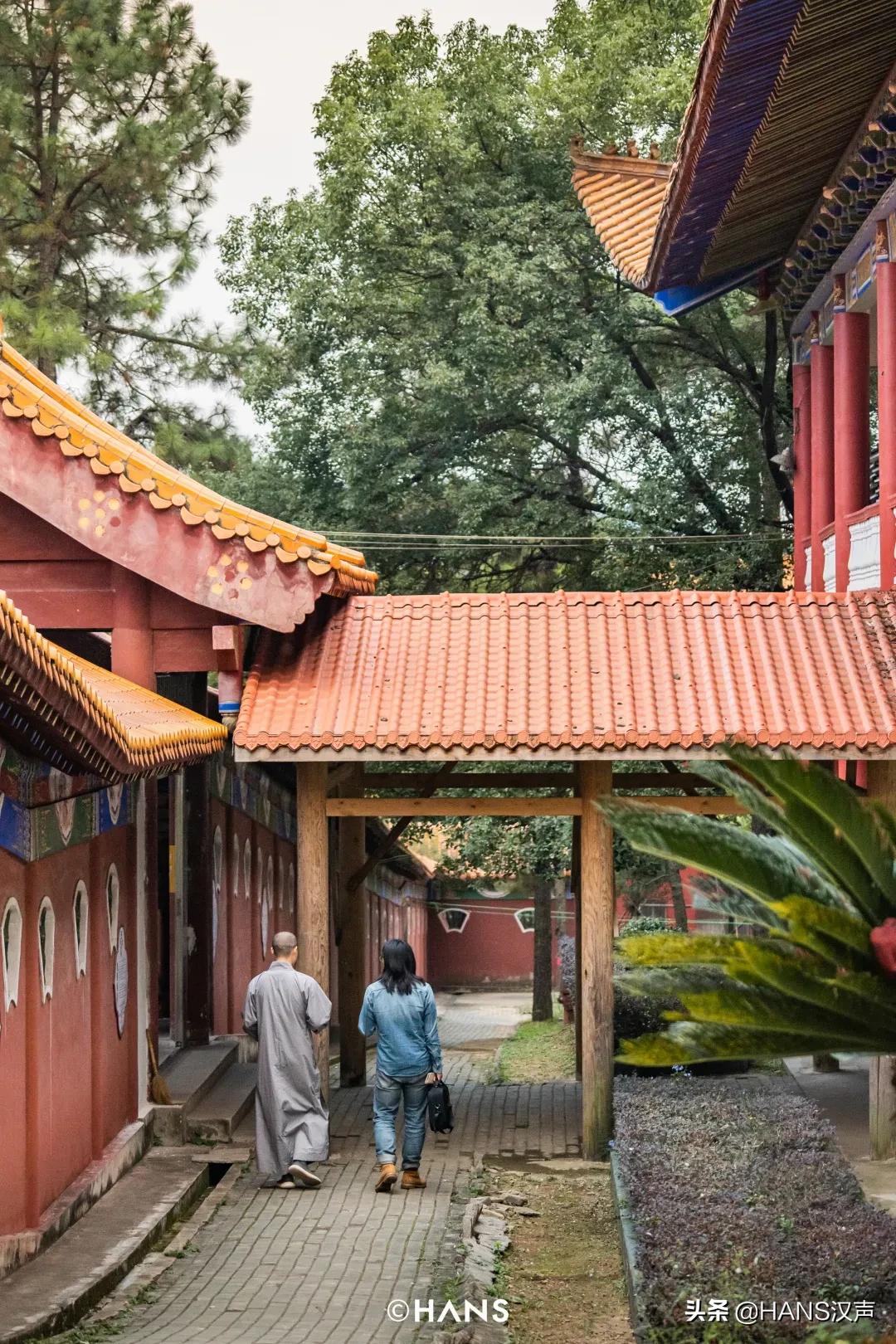 抖音网红为什么出家,灵泉寺武汉短期出家