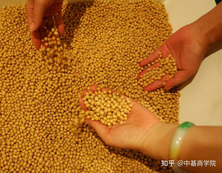 期货保证金账户,期货保证金最低的品种