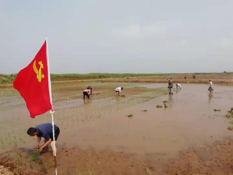 银宝集团企业运营部,银宝集团简介