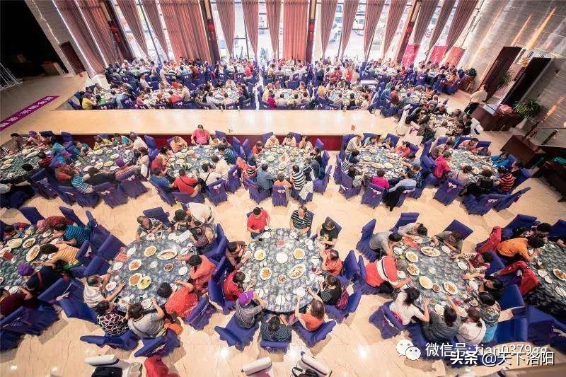 我的旅行社,厉害了我的旅游团