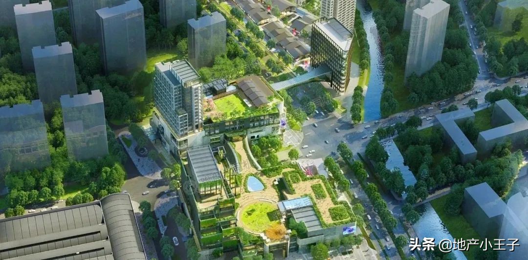 2019年摇红盘,摇不到的红盘