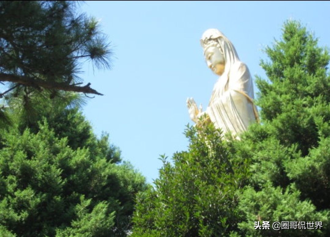 普陀山岛上房子可以交易吗,普陀岛有房可买吗