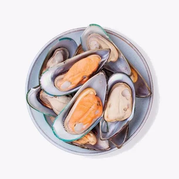 猫狗吃什么补充营养便宜,怎么配制猫狗都吃的食物