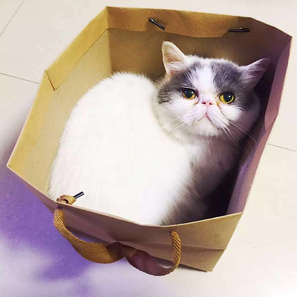 最近广州租房一楼哪里便宜又好,广州租房最便宜的区排行