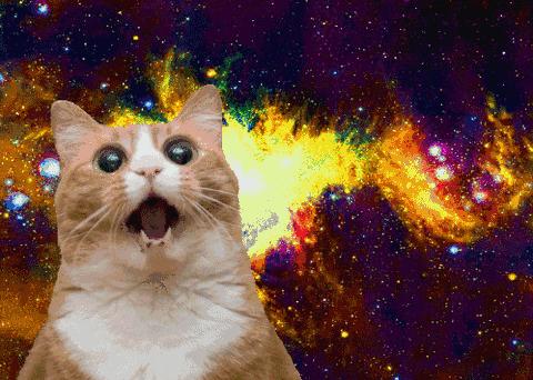 猫咪爱喝水泌尿系统会出问题吗,猫泌尿严重时吃左氧氟沙星有救吗