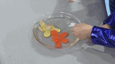用纸做花放水里盛开的视频,用纸做花朵放水里盛开