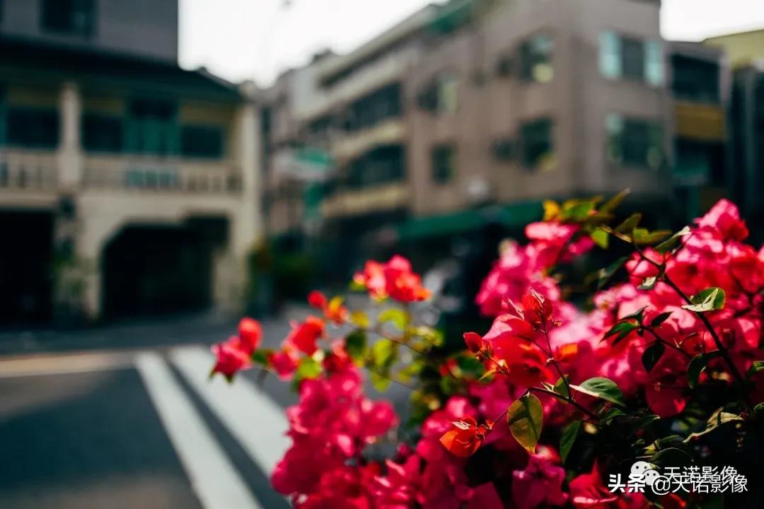 徕卡q3与徕卡m11-p哪个比较好,徕卡相机q与q-p有什么区别