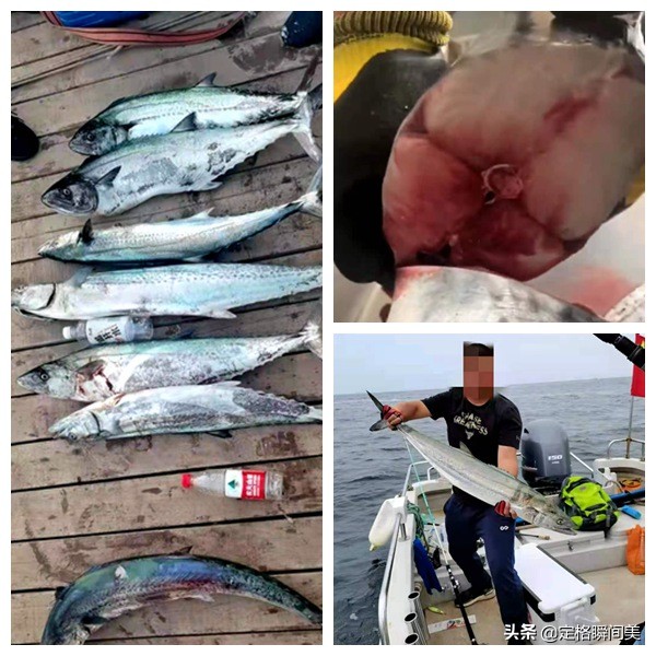 禁渔期青岛垂钓爱好者,青岛休渔期去哪里钓鱼