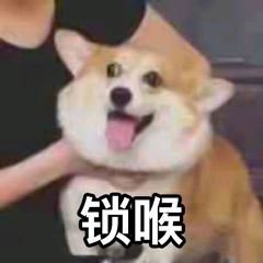 拼多多商家卖仿冒品牌在哪里拿货,拼多多无良商家在哪里