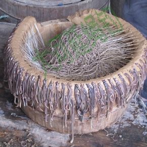 最新最简单的捕鱼方法,简单有效的捕鱼方法