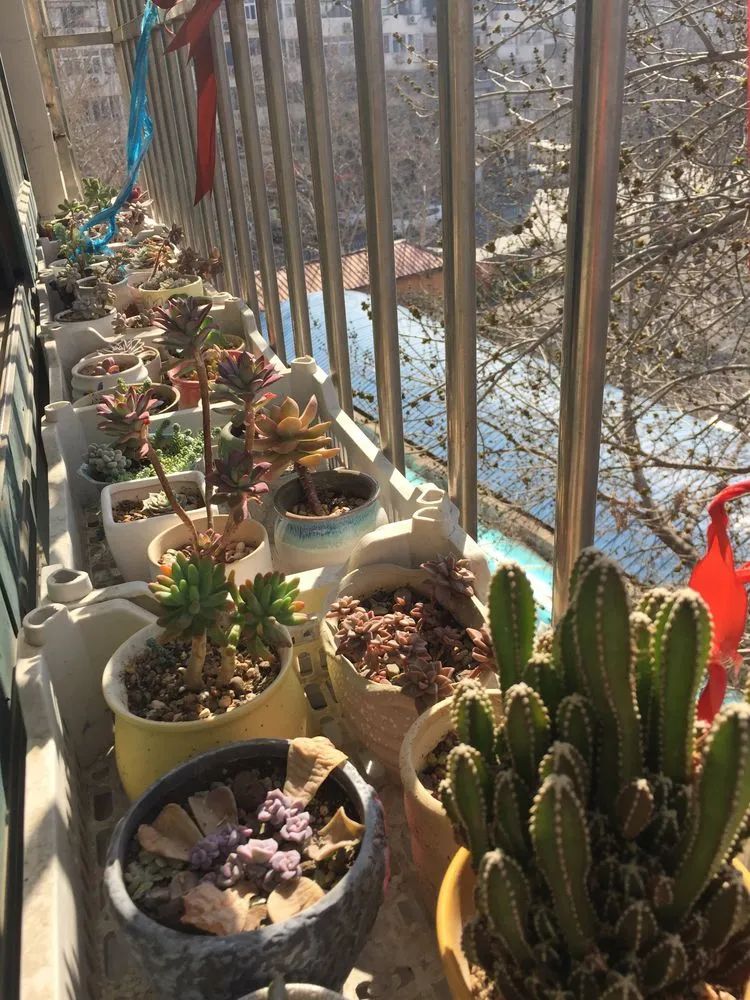 一见倾心二见,一见倾心二见倾城三见定终身