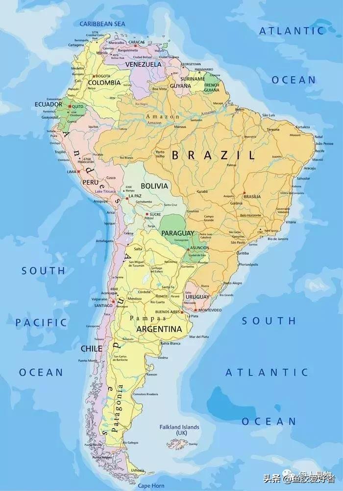 苏里南北海鱼胶和委内瑞拉鱼胶,北海公鱼胶好还是北海母鱼胶好