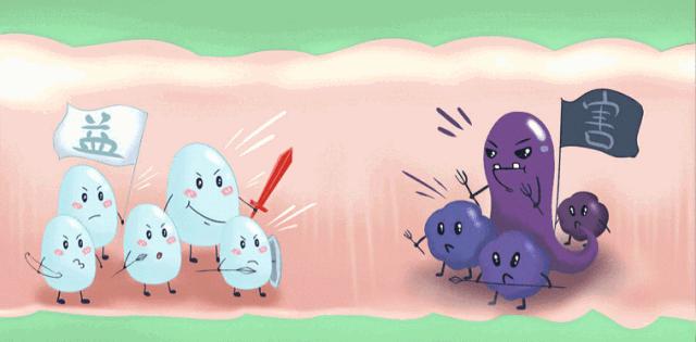 粑粑又立新功！灌一斤多肠道菌群，胖八斤