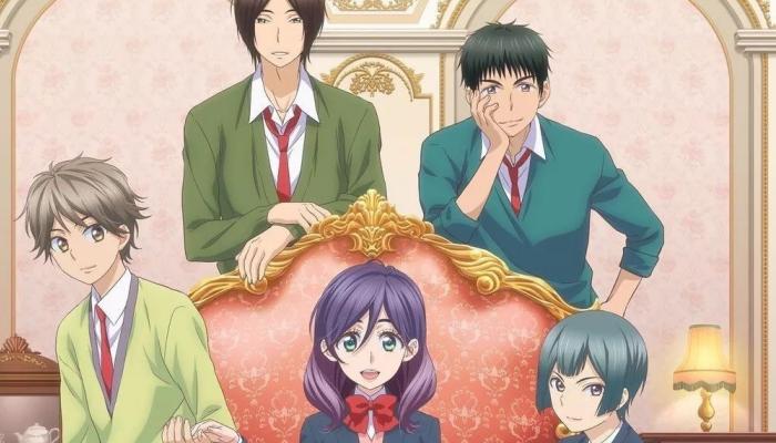 我太受欢迎了该怎么办男主是谁,我太受欢迎了该怎么办的男主是谁